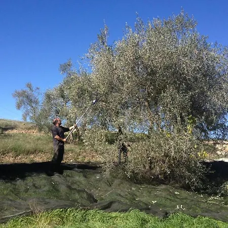Séjour à la ferme Tenuta Copio *